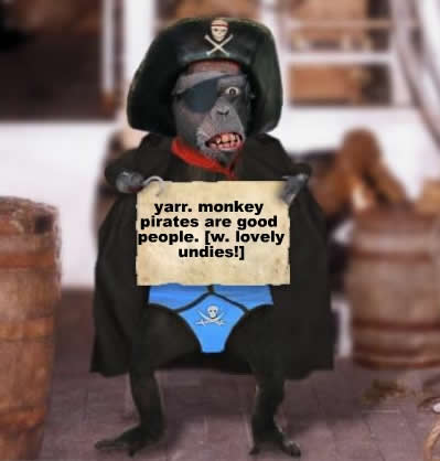 monkey pirate